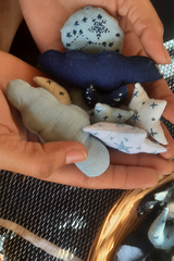 BLESS THE RAIN MOBILE