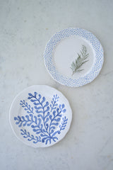 Essence & Tinctoria Plates