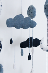 BLESS THE RAIN MOBILE