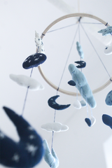 BLESS THE RAIN MOBILE